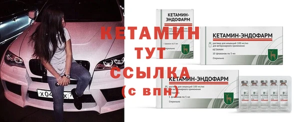 ПСИЛОЦИБИНОВЫЕ ГРИБЫ Бородино