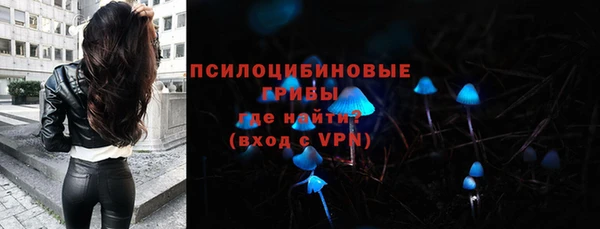 ПСИЛОЦИБИНОВЫЕ ГРИБЫ Бородино