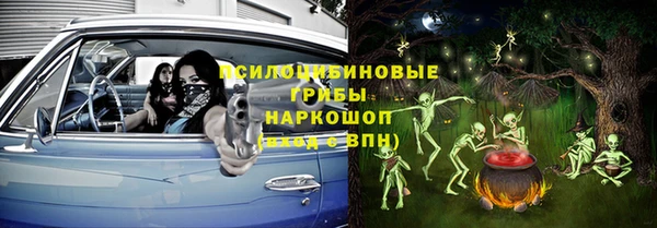 ПСИЛОЦИБИНОВЫЕ ГРИБЫ Бородино