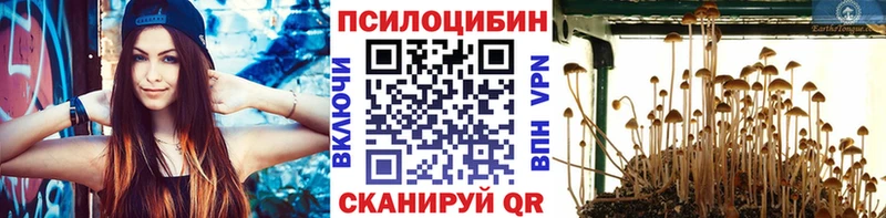 OMG ссылка  наркошоп  Мытищи  Галлюциногенные грибы GOLDEN TEACHER 